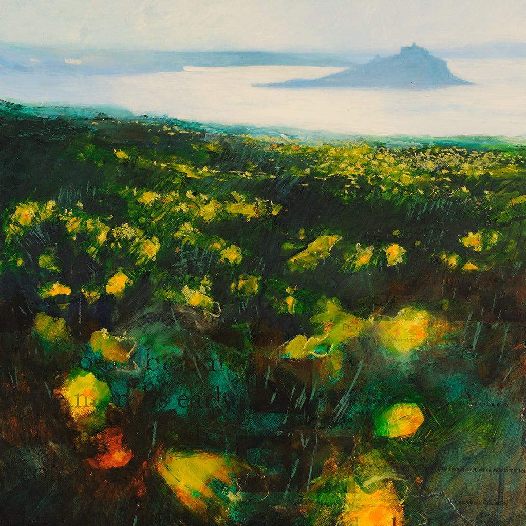 Mounts Bay Daffs