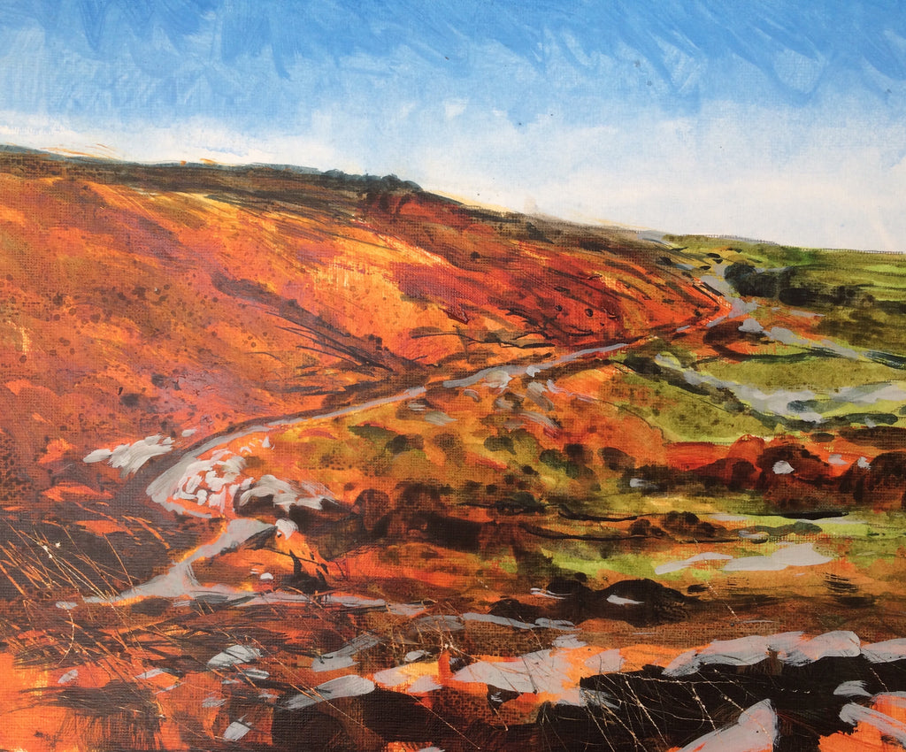 Zennor Moorland