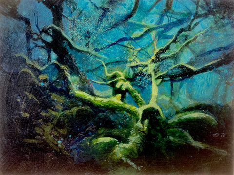 Oak, Moss, Lichen