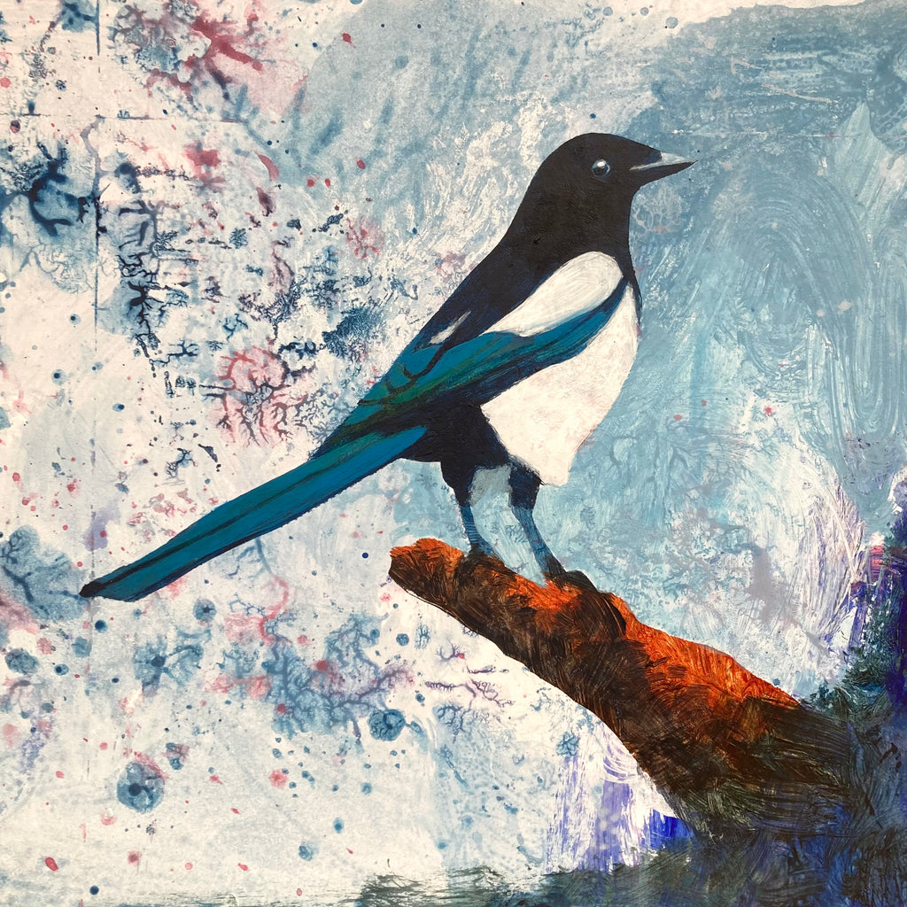 Mr Magpie