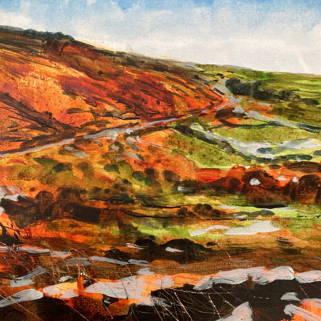 Zennor moor