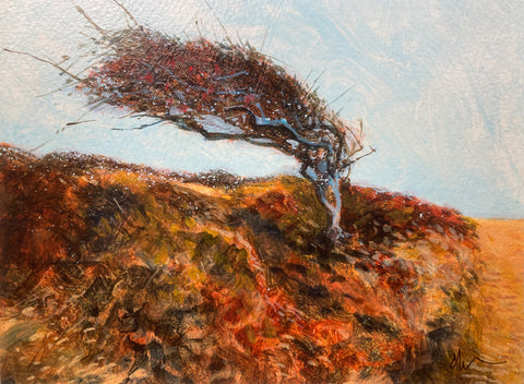 Hawthorn