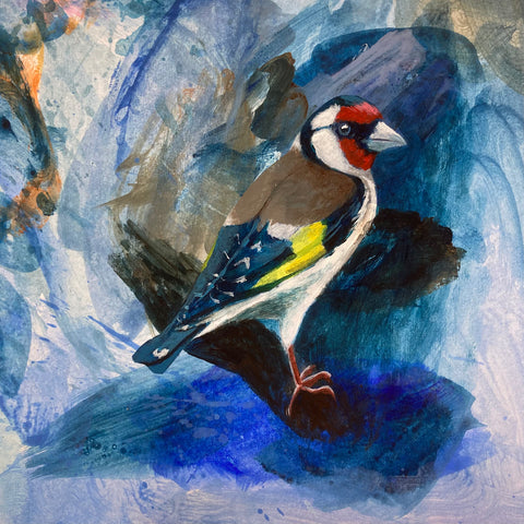 Mr Goldfinch II