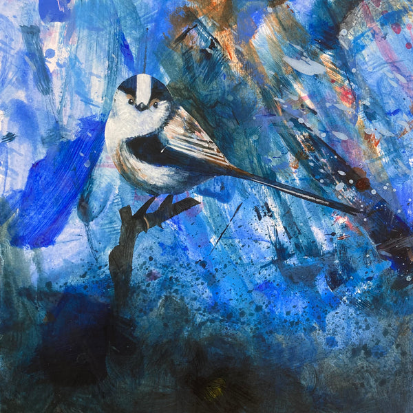 Mrs Long Tailed Tit