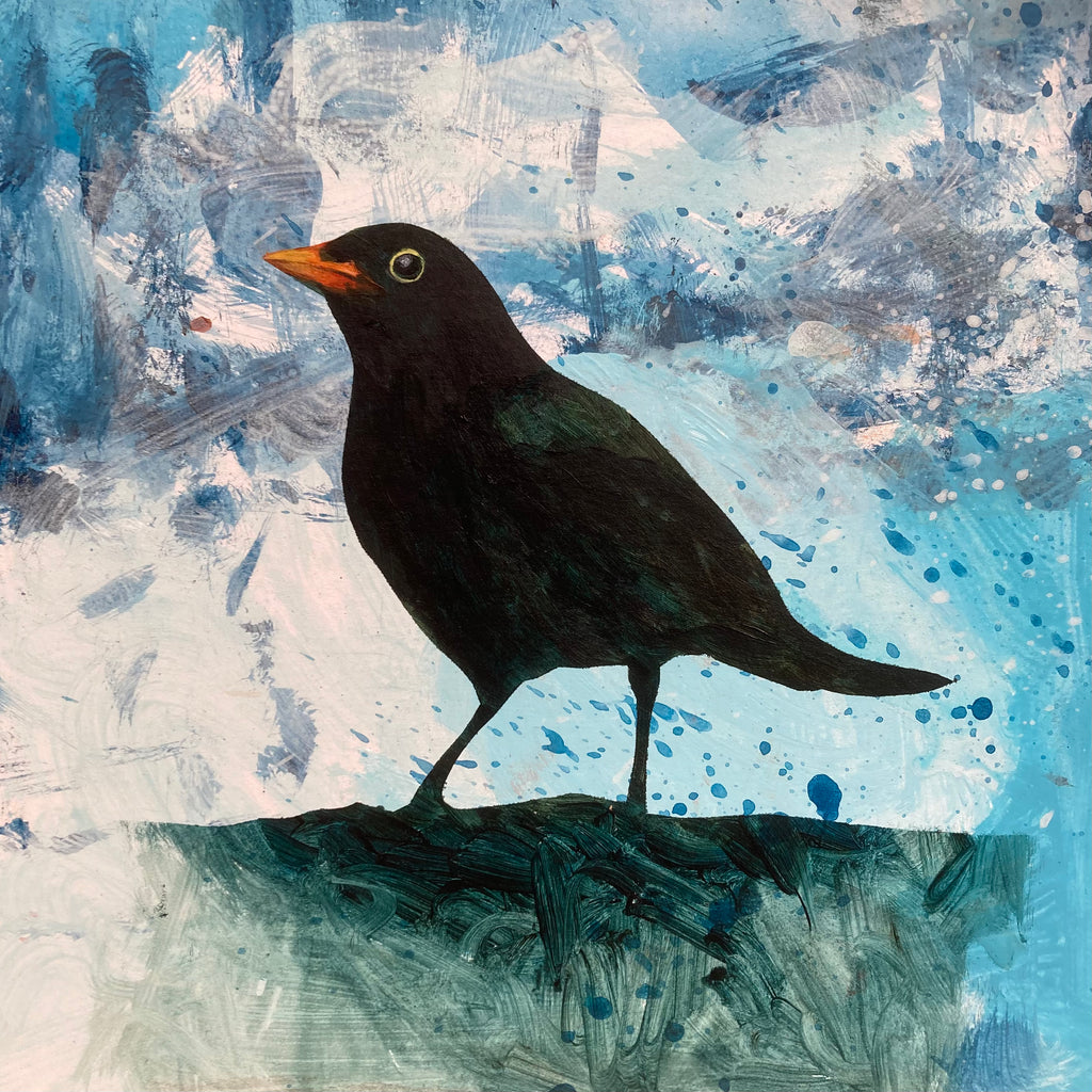 Mr Blackbird