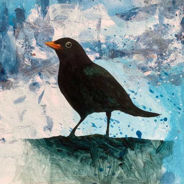Mr Blackbird