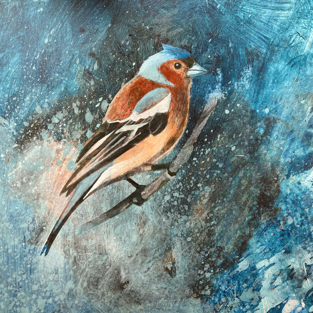 Mr Chaffinch