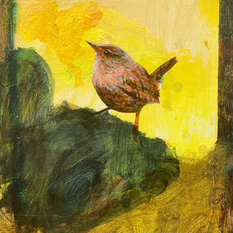 Mrs Wren