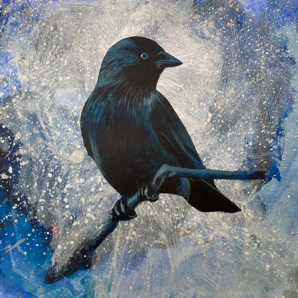 Mr Jackdaw