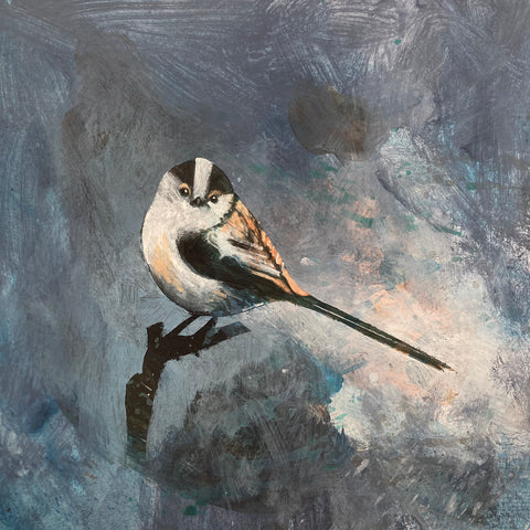 Mr Long Tailed Tit