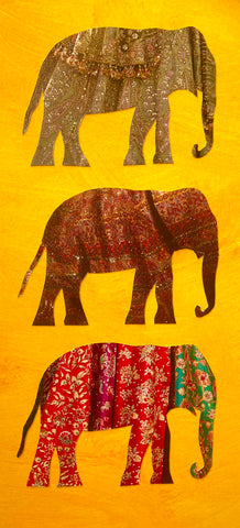 Jaipur Elephants