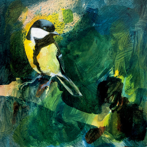 Mr Great Tit