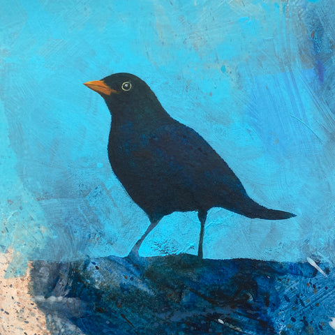 Mr Blackbird II