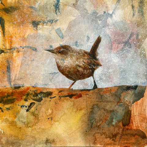 Mr Wren