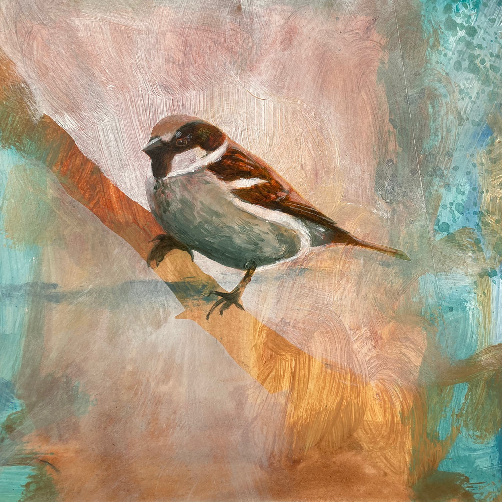 Mr Sparrow II