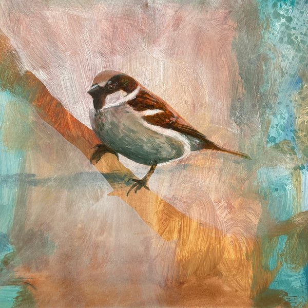 Mr Sparrow II