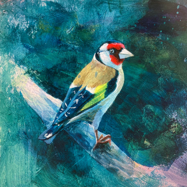 Mr Goldfinch