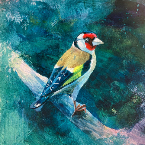Mr Goldfinch