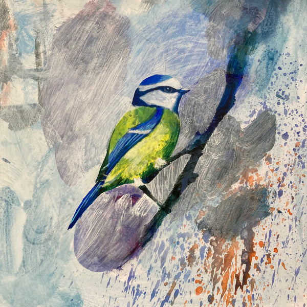 Mr Blue Tit