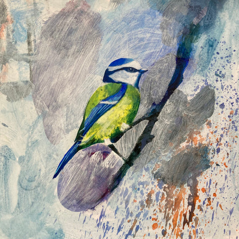 Mr Blue Tit