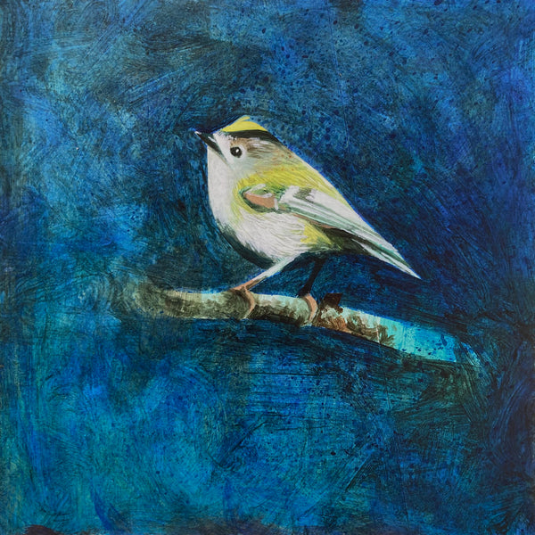 Mr Goldcrest