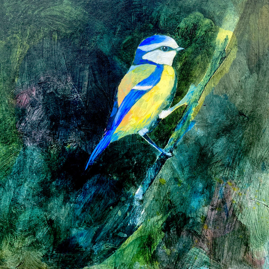 Mr Blue Tit II