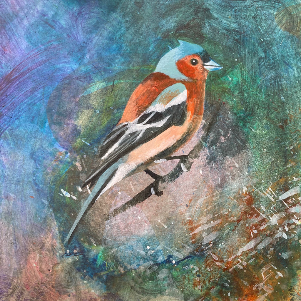 Mr Chaffinch II
