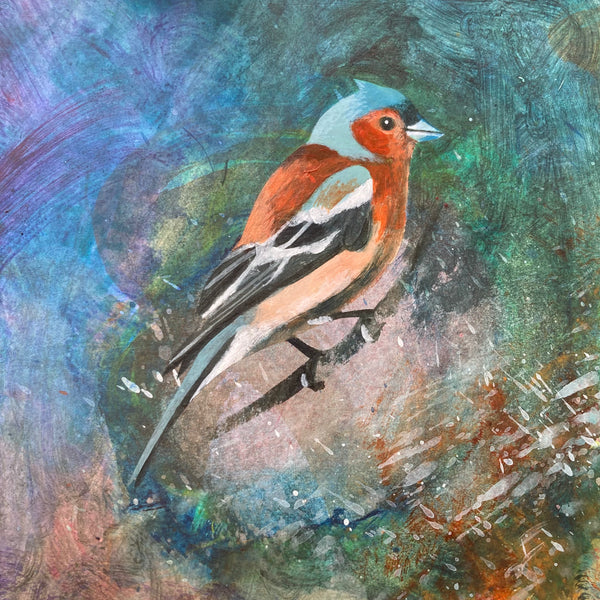 Mr Chaffinch II