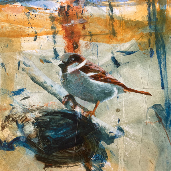 Mr Sparrow