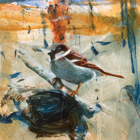 Mr Sparrow