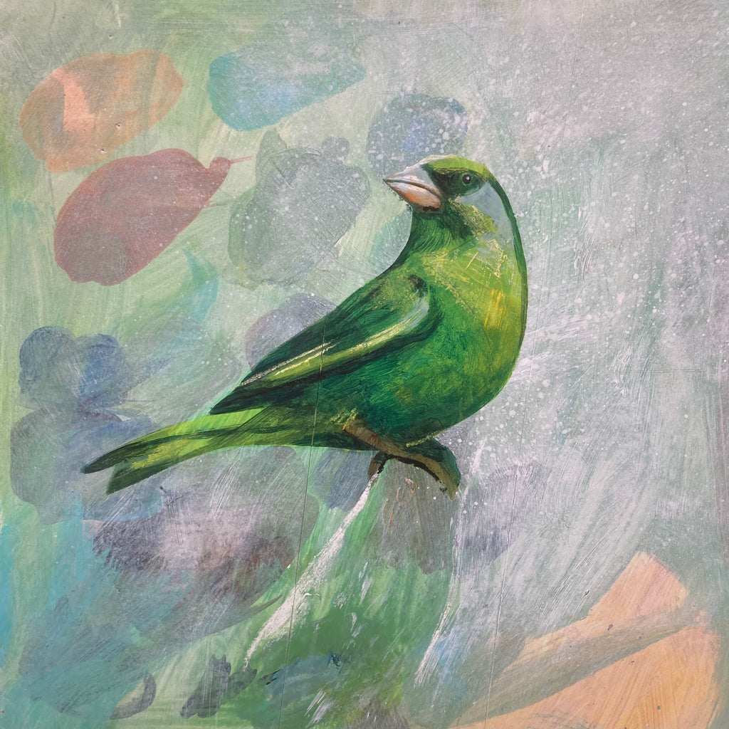 Mr Greenfinch II