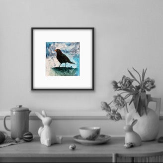 Mr Blackbird