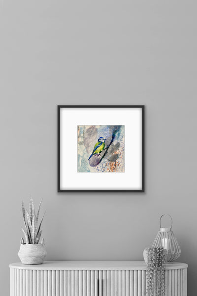 Mr Blue Tit