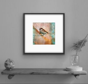 Mr Sparrow II