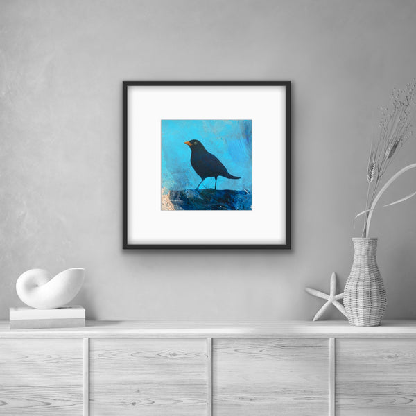 Mr Blackbird II