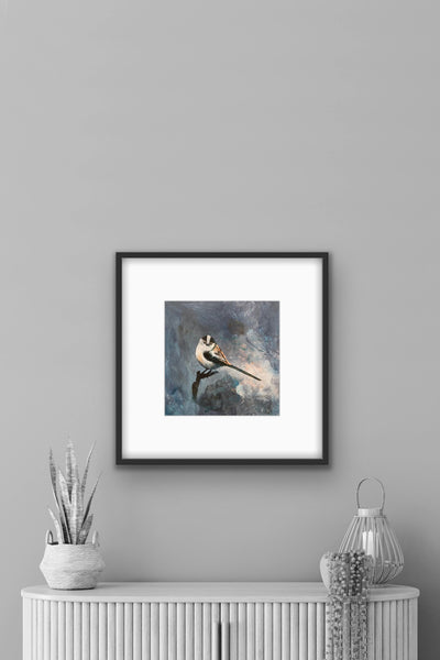 Mr Long Tailed Tit