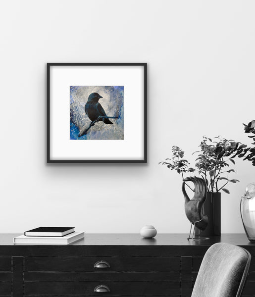 Mr Jackdaw