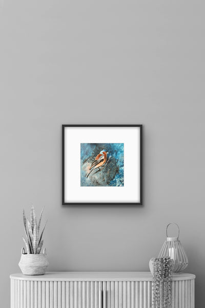 Mr Chaffinch II